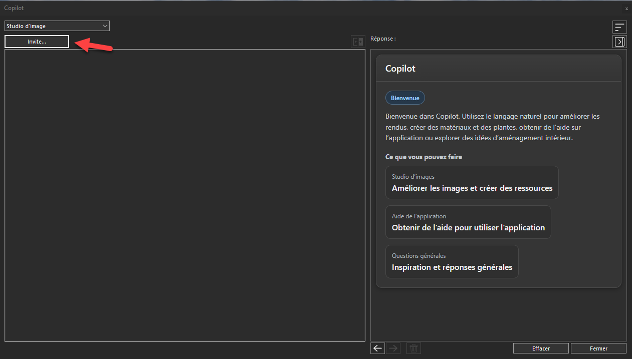 Clic sur le bouton Invite pour accéder et explorer les options d'entrée disponibles dans Studio d'Image